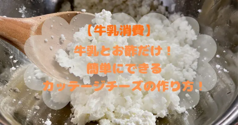 牛乳とお酢だけで簡単にできるカッテージチーズの作り方